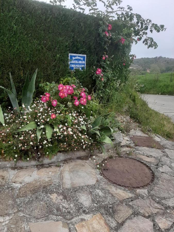 Casa La Hayuela Molleda Villa Bagian luar foto